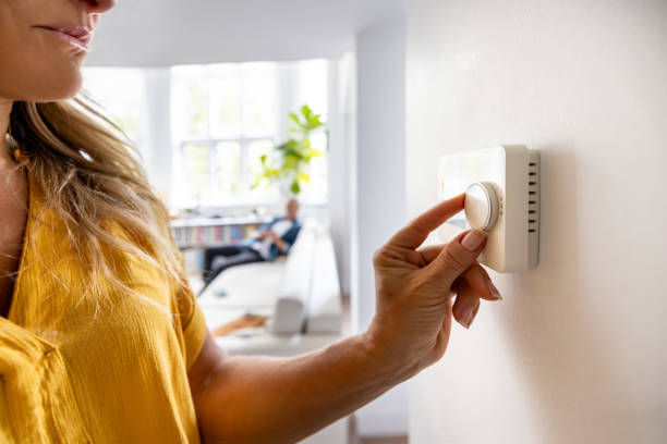 Best HVAC Emergency Services  in Holt, MI